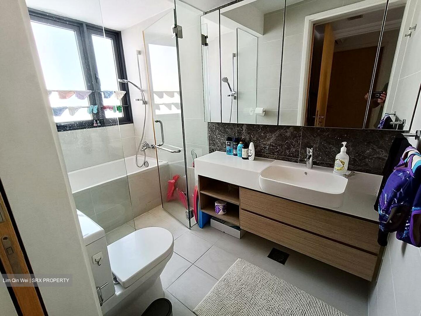 The Lakefront Residences (D22), Condominium #558403931